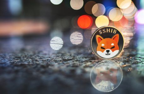 Shiba Inu To Open New Investment Opportunities via Upcoming Stablecoin; VeChain, Zilliqa, Bloktopia, DAR Spike
