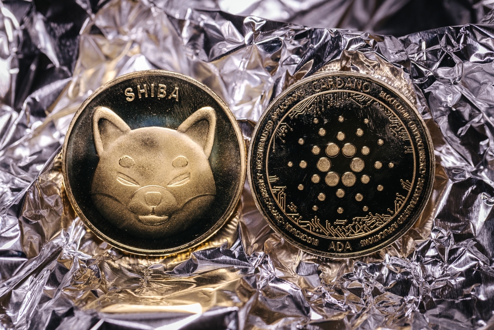 Shiba Inu To Burn Zeros as SHIB Burn Portal Launches; ADA, HBAR, Altcoins Present Buying Opportunity per This Indicator