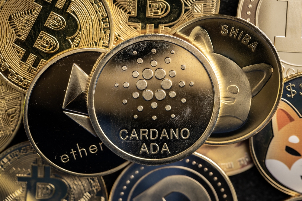 Cardano, VeChain, Shiba Inu Record Network Growth Despite Market Selloff as Bitcoin Declines Further