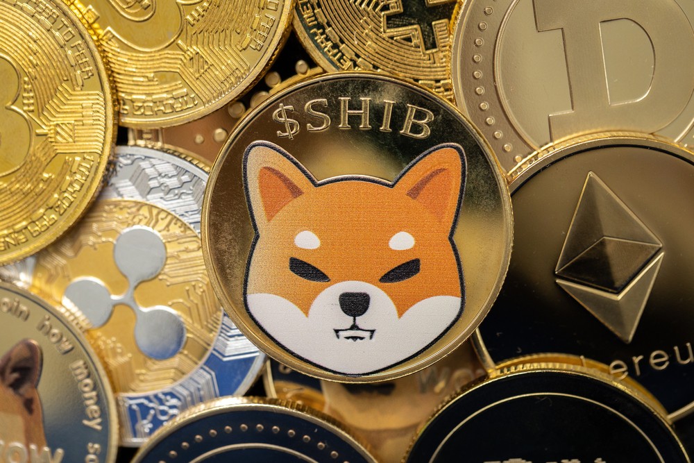 Large Investors Rush To Buy Shiba Inu, Convex Finance, Verasity Dips; XRP, Chiliz Up As Bitcoin Attempts Rebound