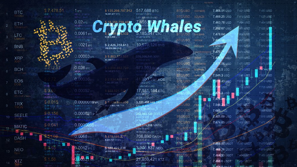 Whale Spends $121 Million To Buy Wrapped Bitcoin, FTX, LINK, Bancor, MATIC; Events To Watch on Ravencoin, Shiba Inu