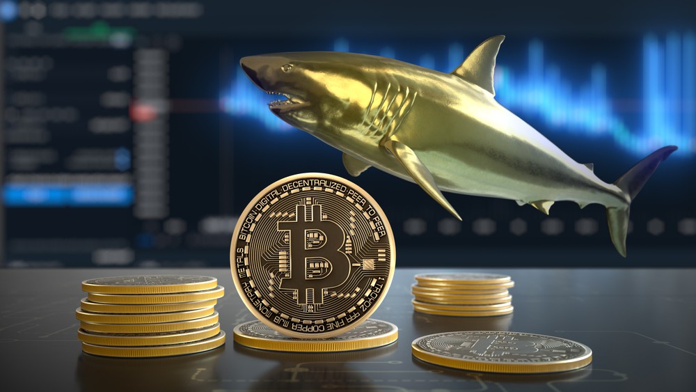 Ethereum, Shiba Inu, Apecoin, Gala See Buying From Whales; Bitcoin Marks Its Highest Day of Utility Since December