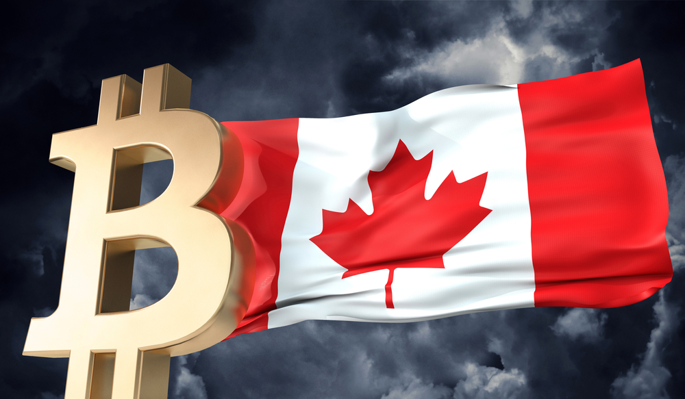 Canadians Who Owned Bitcoin Were Up by 13% in 2021; Bank of Canada Report